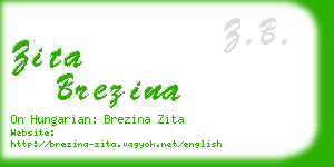 zita brezina business card